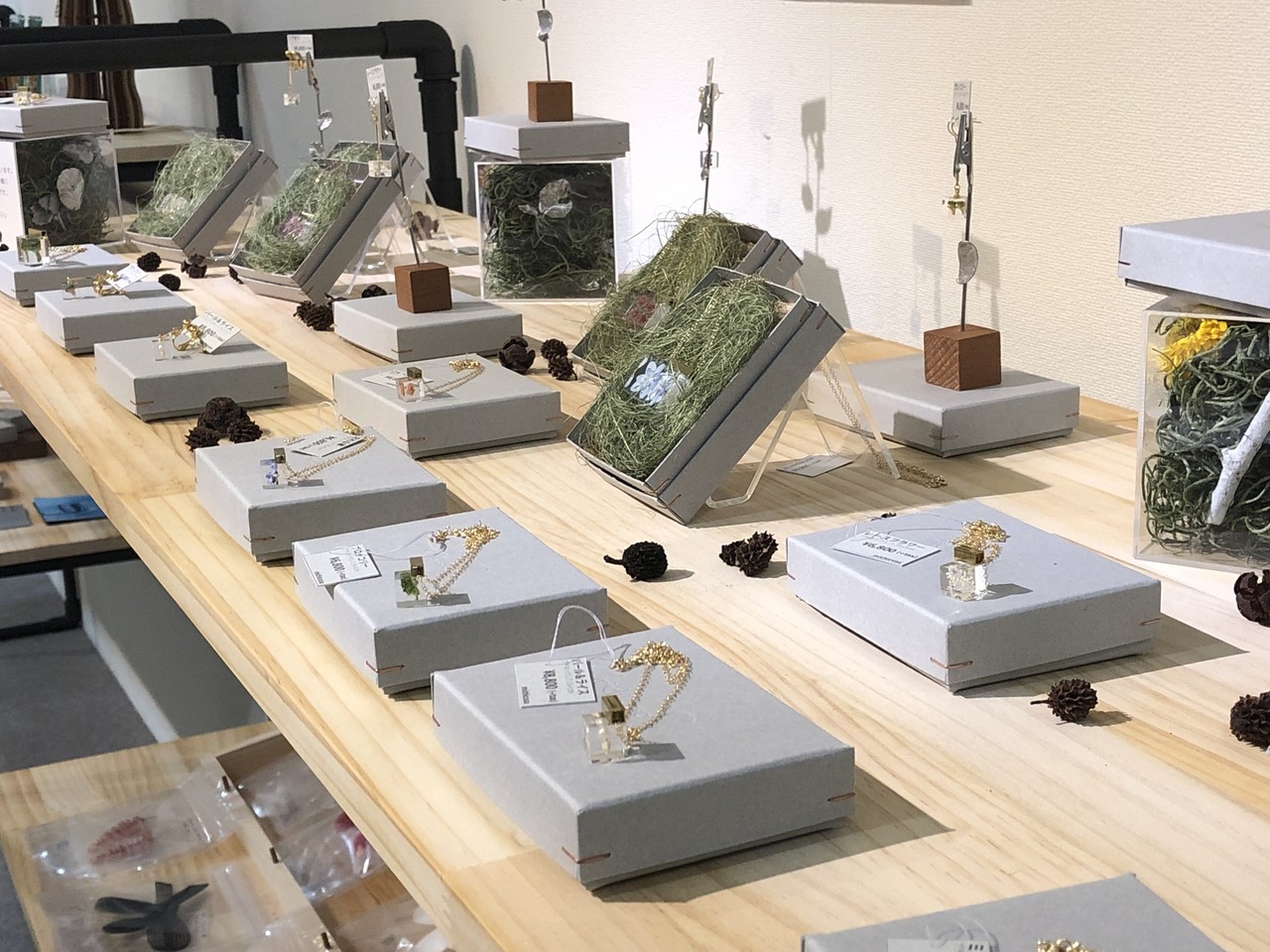 Bivi福岡 出展中 18 12 15 19 4 16 ミチクサ Home Note