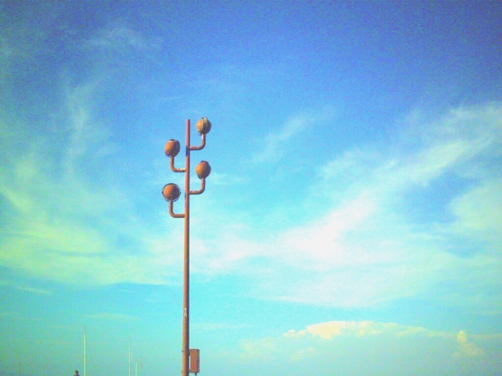 トップ100ゆる ふわ 壁紙 最高の花の画像