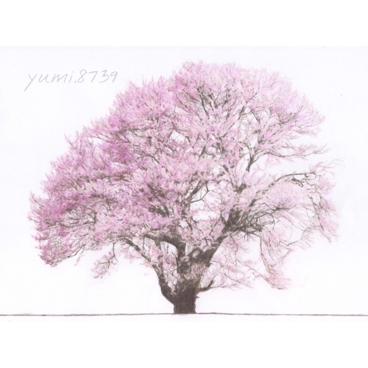 桜の木 イラスト 書き方 簡単
