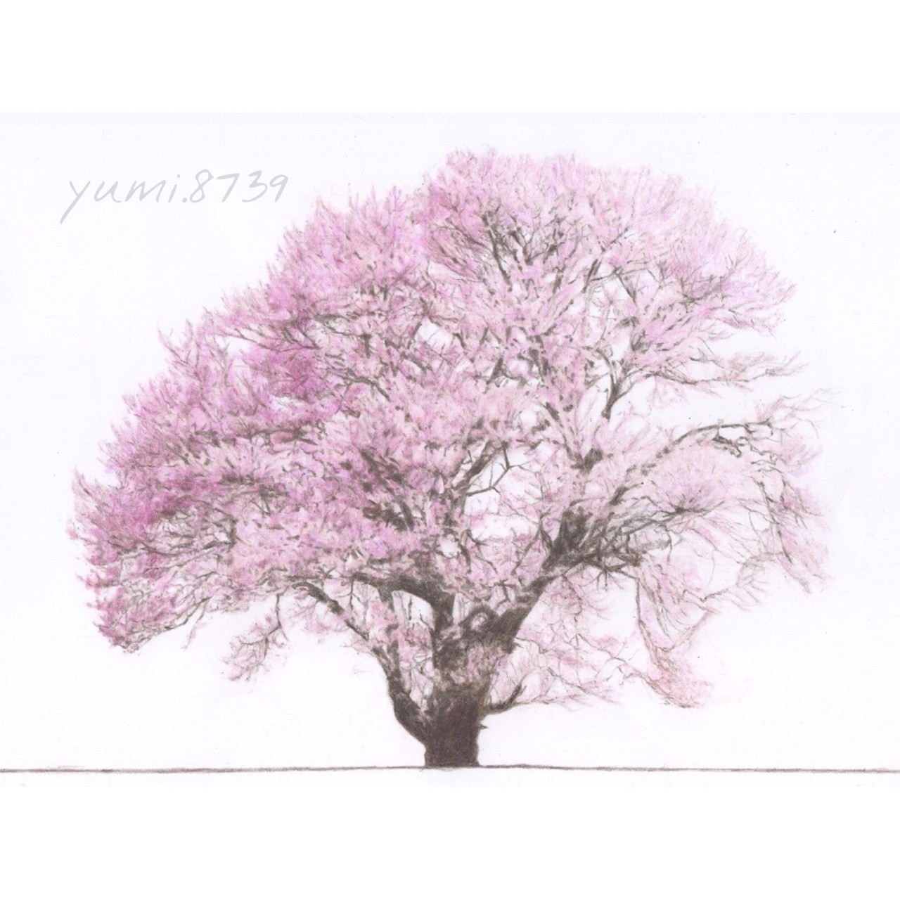 貯水池 政治的 局 桜 絵 色鉛筆 9you Jp