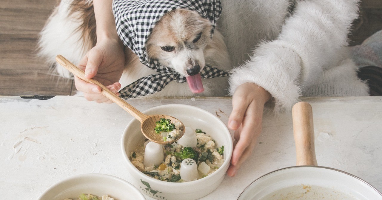 冷凍作り置きok 焼き豆腐とレバーのスープごはん 月額限定 手作り犬ごはんレシピ 犬ごはん先生いちかわあやこ Official Web Site