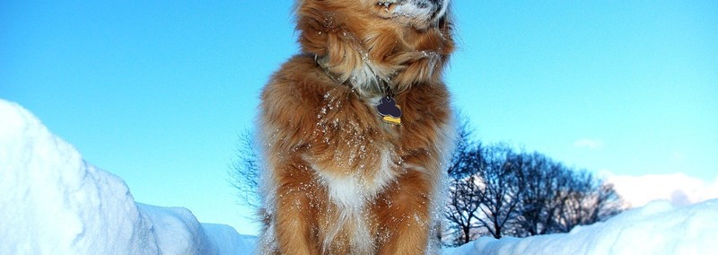 お気に入りnoteまとめ