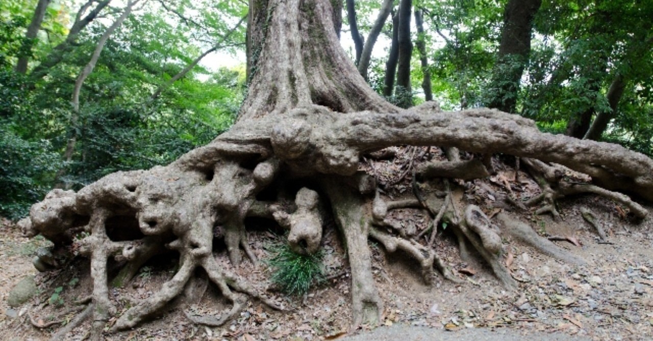 根回し