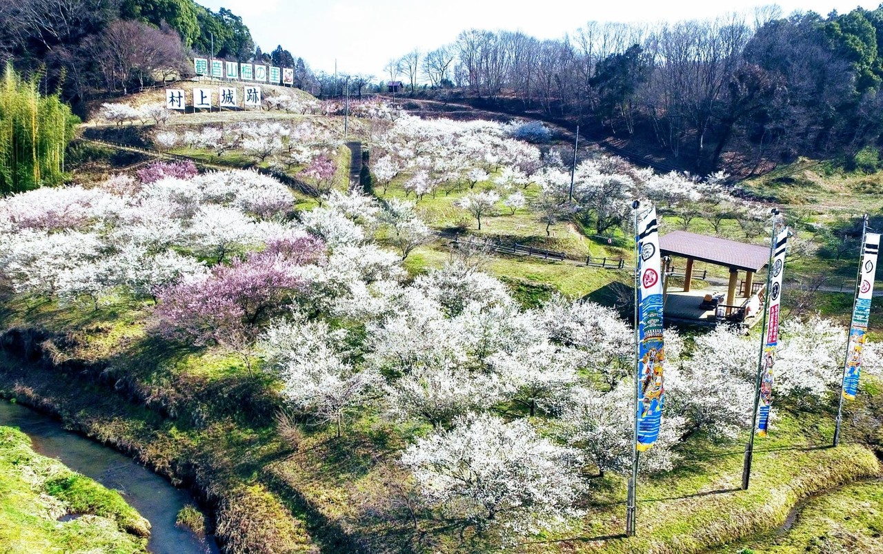 画像9