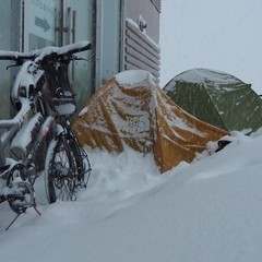 スパイクタイヤとスタッドレスとの違いは ...
