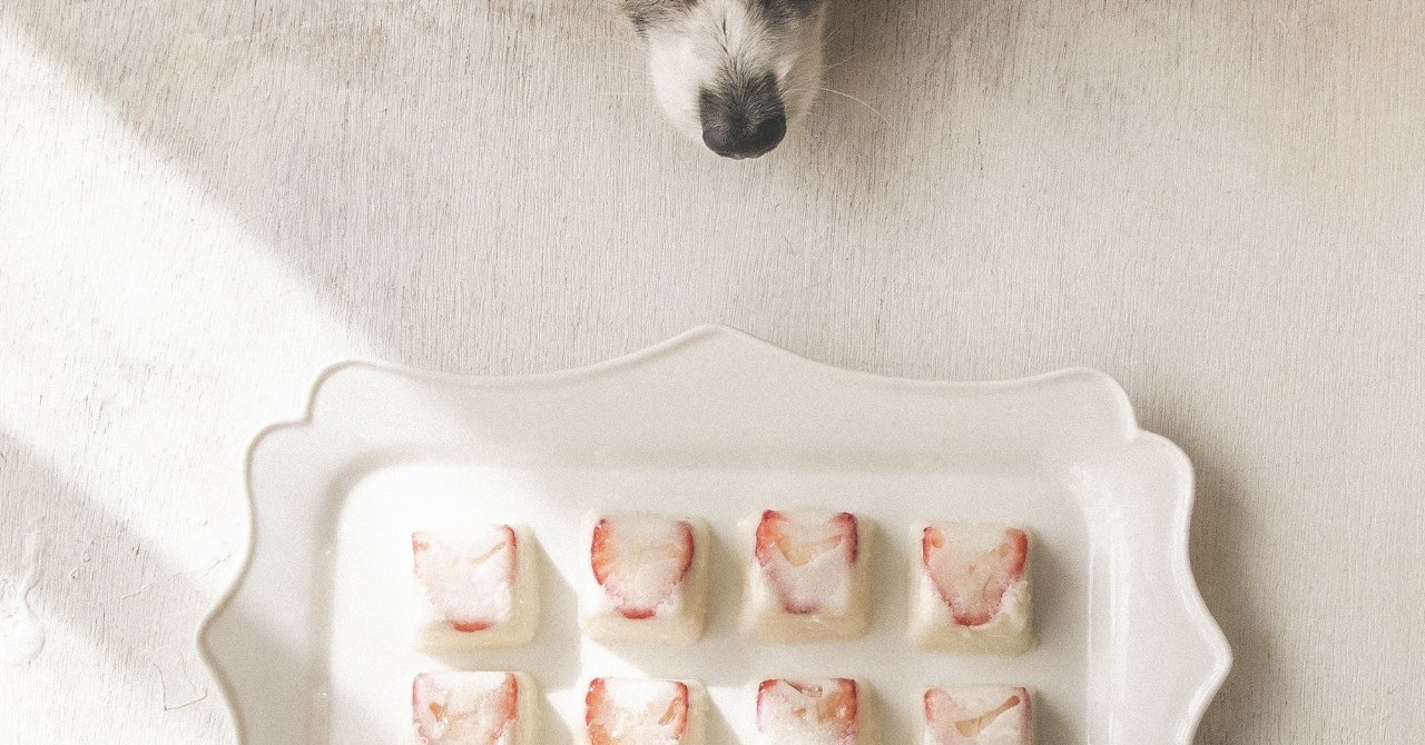 ストレスケアにも 製氷皿で作るぷるぷるいちごヨーグルトゼリー 手作り犬おやつレシピ 犬ごはん先生いちかわあやこ Official Web Site